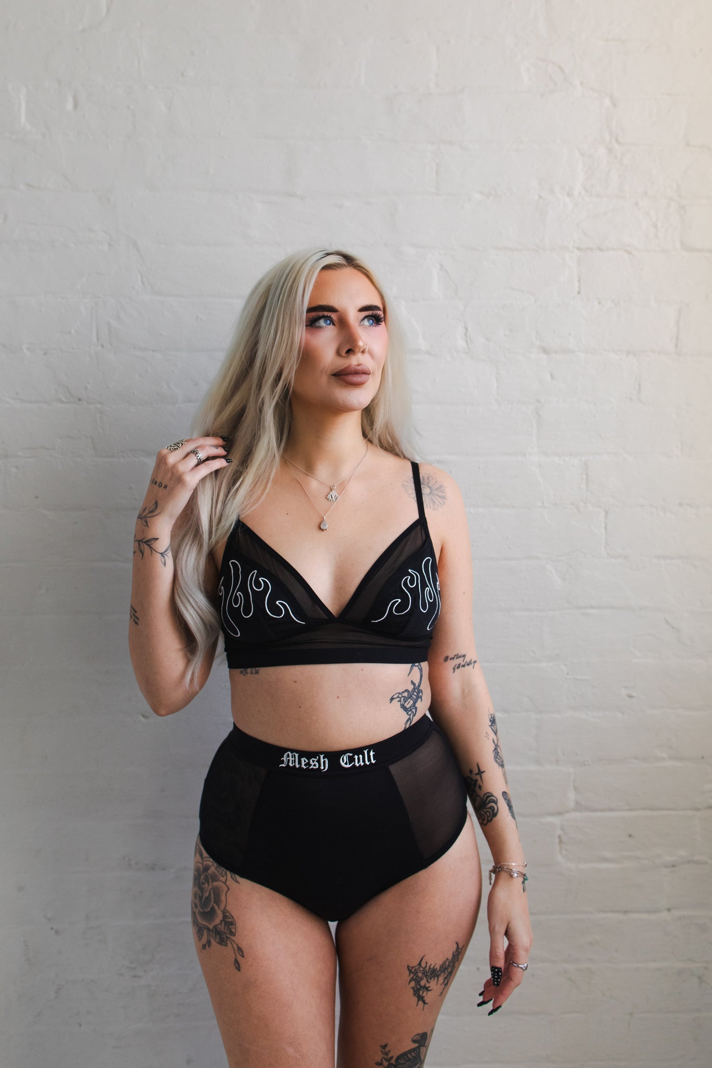 High Waisted Briefs - The Cult Classic