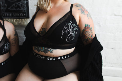 Moon Phases - High Waisted Briefs